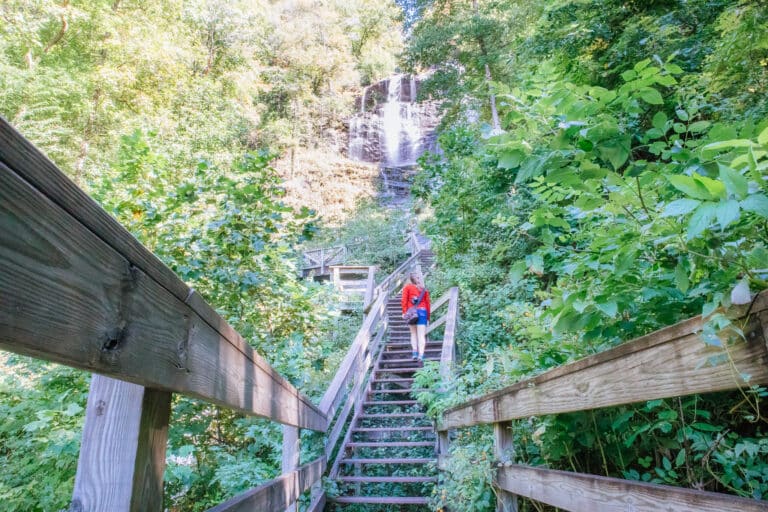 Amicalola Falls State Park, GA stairs