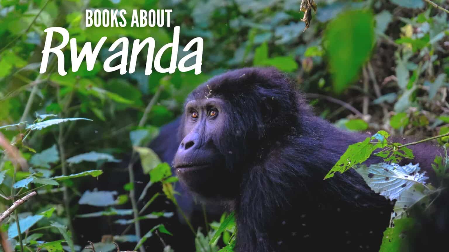 Jack Rwanda Book 26 Best Books About Rwanda