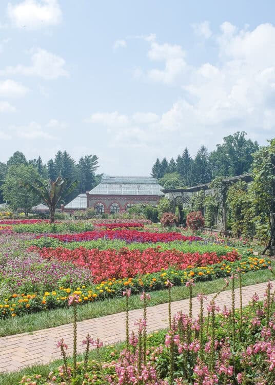 A vibrant formal garden at the Biltmore Estate in Asheville, North Carolina, filled with rows of colorful flowers including reds, pinks, oranges, and purples. A red-brick conservatory with glass roofing sits in the background, surrounded by lush greenery and a vine-covered trellis walkway.
