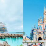 Disney Cruise vs. Disney World Banner