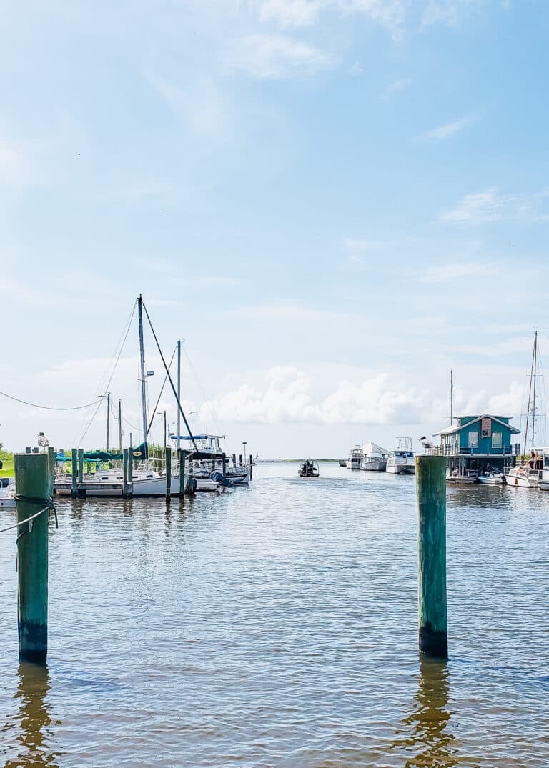 11 Fun Things To Do in Apalachicola, Florida