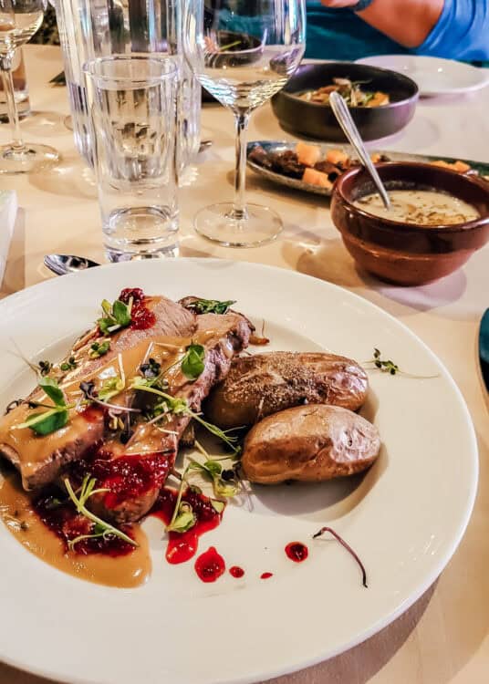 A plated gourmet entrรฉe featuring sliced roasted meat topped with brown gravy, tart red berry sauce, and microgreens, served alongside two roasted baby potatoes. In the background, wine glasses, water glasses, and small bowls of soup and vegetables sit on a white tablecloth, creating an elegant dining setting.