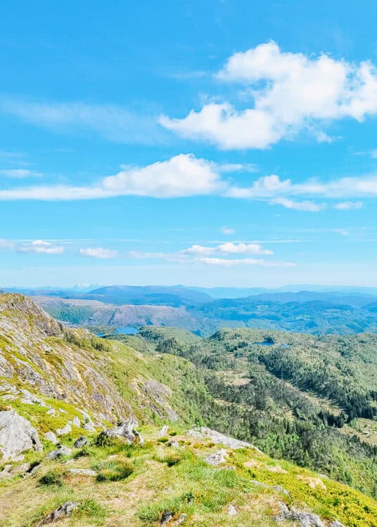 A sweeping mountain landscape viewed from a grassy, rocky ridge in the foreground. Rolling green hills and forested valleys stretch into the distance beneath a bright blue sky dotted with soft white clouds, with faint snow capped peaks visible on the horizon.