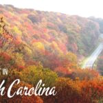 30 Books Set in + About North Carolina