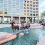 Things to do in Irving, Texas