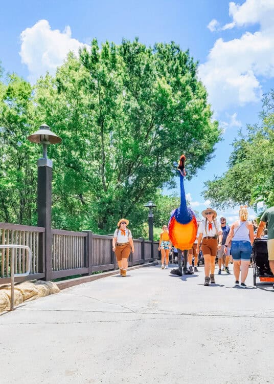 Kevin, the colorful giant bird character from Up, walks along a bridge in Disneyโs Animal Kingdom accompanied by park attendants while guests stroll by under a bright blue sky and leafy green trees.