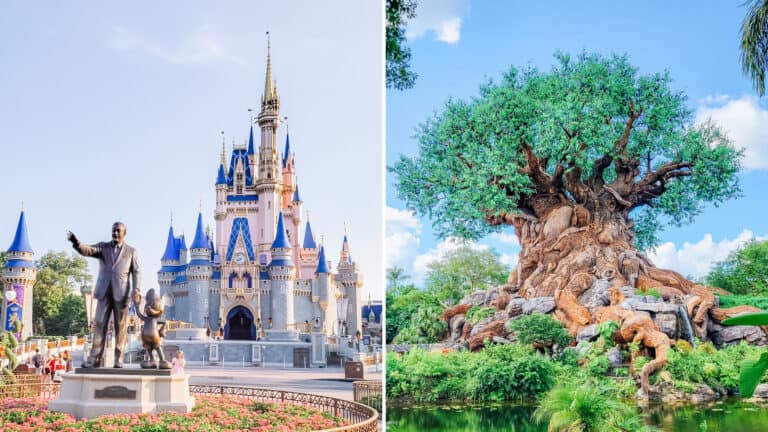 Split image showing two iconic Disney parks landmarks: the Partners statue of Walt Disney and Mickey Mouse in front of Cinderella Castle at Magic Kingdom, and the Tree of Life towering above lush greenery at Disney’s Animal Kingdom.
