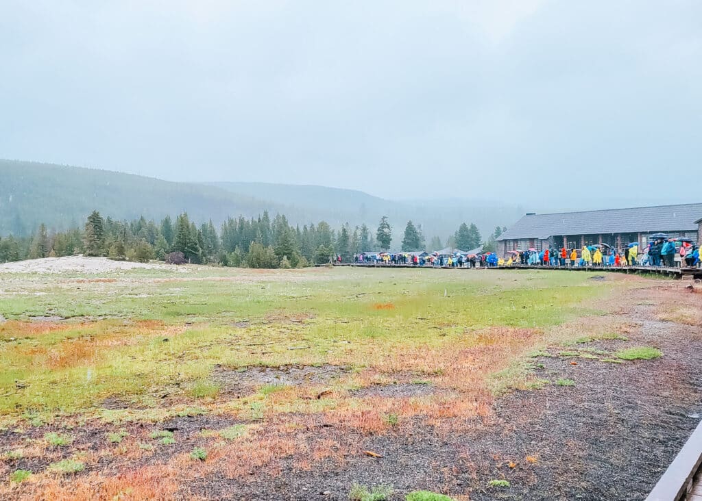Crowds lining up to view Old Faithful