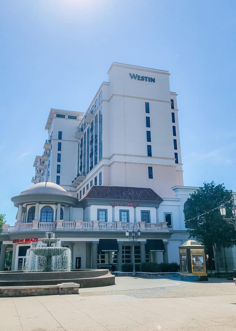 10 Best Pet Friendly Hotels in Huntsville, AL Flying Off The Bookshelf