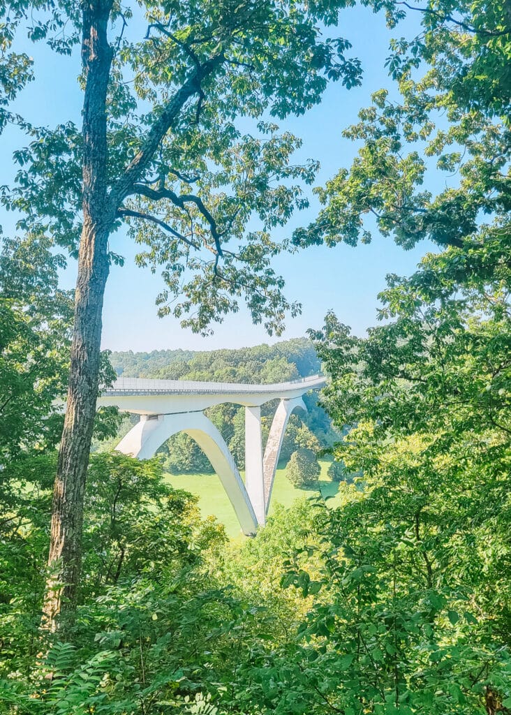 Natchez Trace Parkway Bridge from Birdsong Hollow overlook