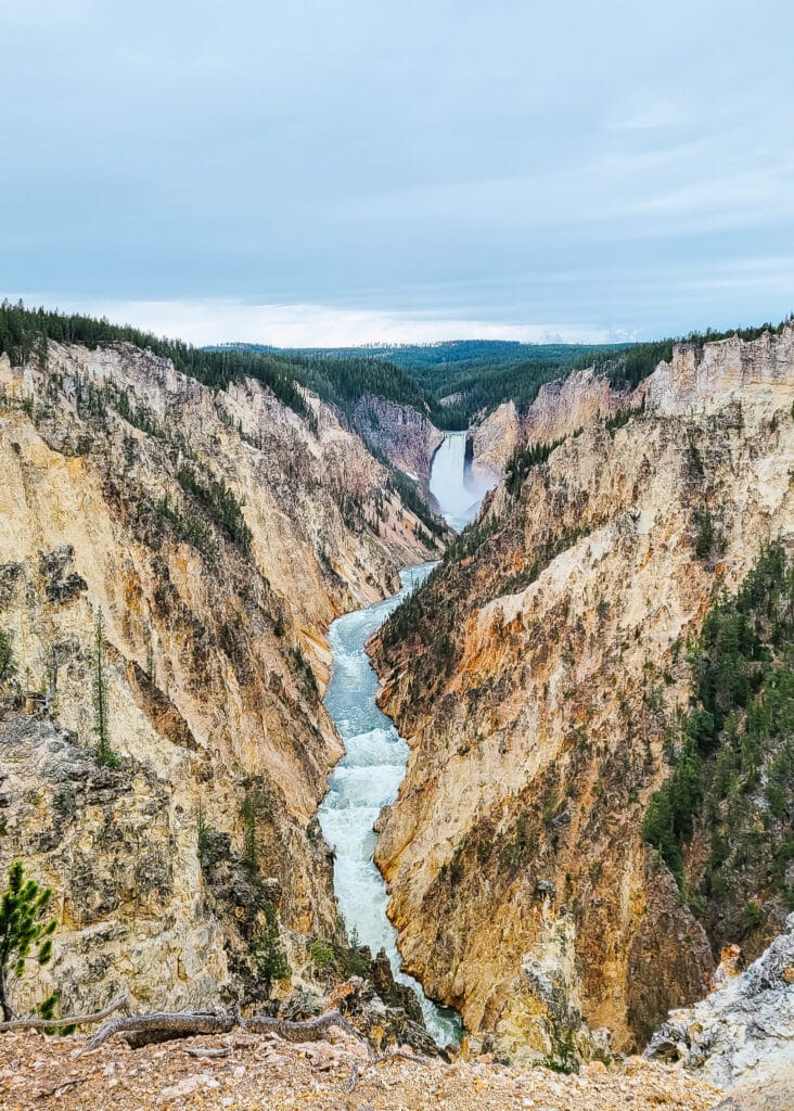 View of Grand Canyon of the Yellowstone and Lower Falls from Artist Point
