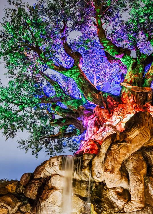 Tree of Life at Disneyโs Animal Kingdom illuminated in vivid green purple blue and red light after dark. Carved animals cover the massive trunk beside a waterfall flowing over the rocky base.