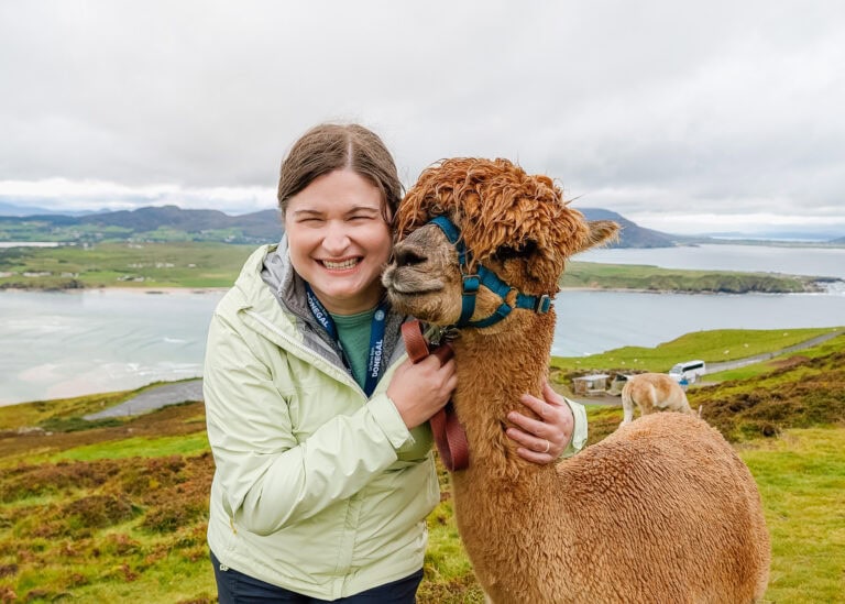 My Wild Alpaca Way Review: A Scenic Walk to Ireland’s Northern Tip