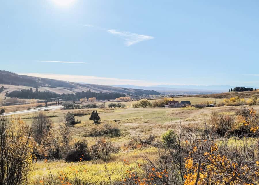 Rolling green hills with a few scattered houses and steeper mountains in the background. In the foreground, some leaves are changing to fall colors.