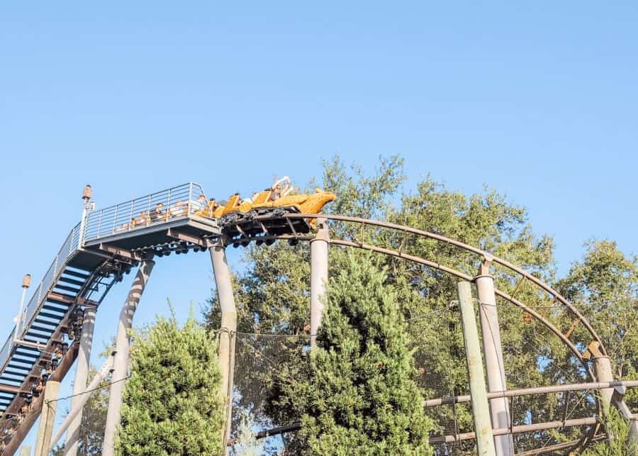 A family roller coaster train curves along an elevated track above trees at a theme park, with riders raising their hands as it turns under a clear blue sky.
