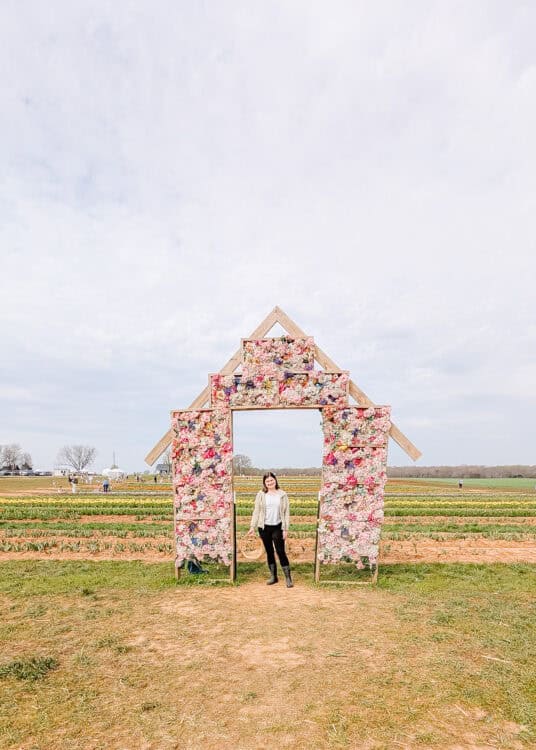 A woman stands beneath a decorative arch covered in colorful flowers in the middle of a tulip field, with rows of blooming tulips stretching across the farm landscape under a cloudy sky.
