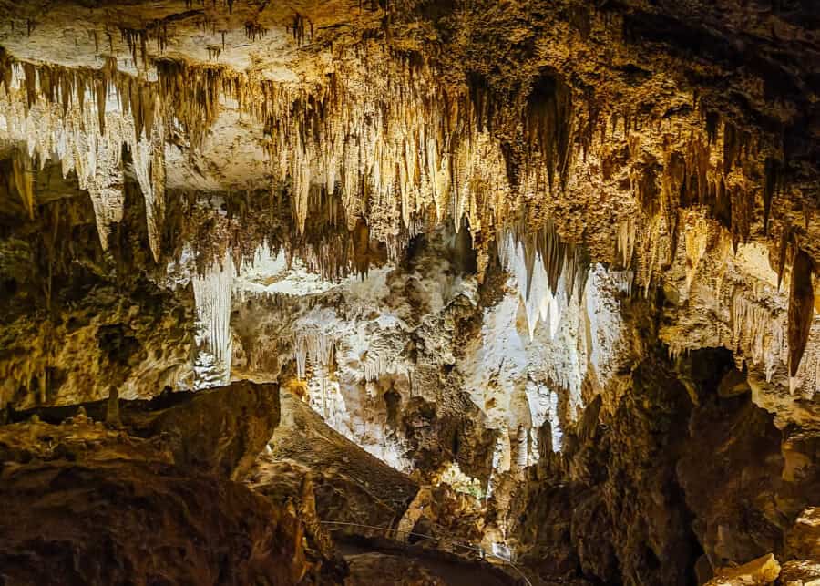 Dense clusters of long stalactites hang from the ceiling of Carlsbad Caverns above layered rock formations glowing under warm lighting.