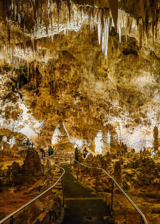 A paved walkway with metal railings winds through Carlsbad Caverns, surrounded by towering stalagmites and a ceiling dense with long stalactites. Warm lighting highlights the golden rock textures while visitors walk along the path as part of a Carlsbad Caverns itinerary.