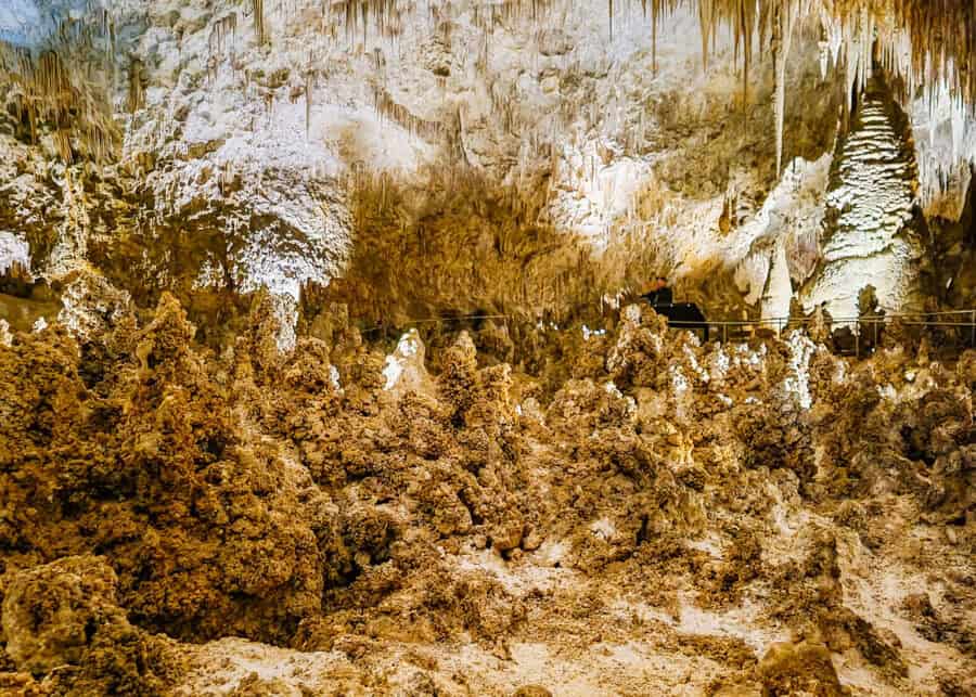 Dense clusters of stalagmites covered in cave popcorn formations fill the floor of Carlsbad Caverns beneath a ceiling lined with long stalactites. Warm cave lighting illuminates the textured formations while a person stands on a distant walkway for scale.