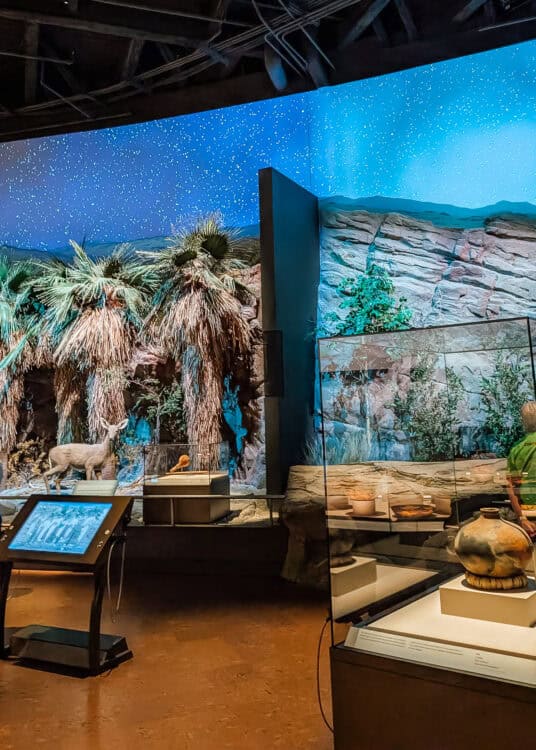 Indoor museum exhibit featuring a desert scene with palm trees, a taxidermy deer, and rocky terrain under a starry blue backdrop. Glass display cases with pottery and artifacts sit in the foreground alongside an interactive screen, creating an immersive natural history setting.
