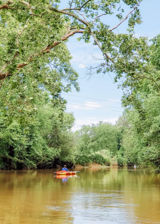 Person kayaking down a calm brown river surrounded by dense green trees and overhanging branches on a sunny day. The peaceful waterway winds through a lush forest with reflections shimmering across the water.