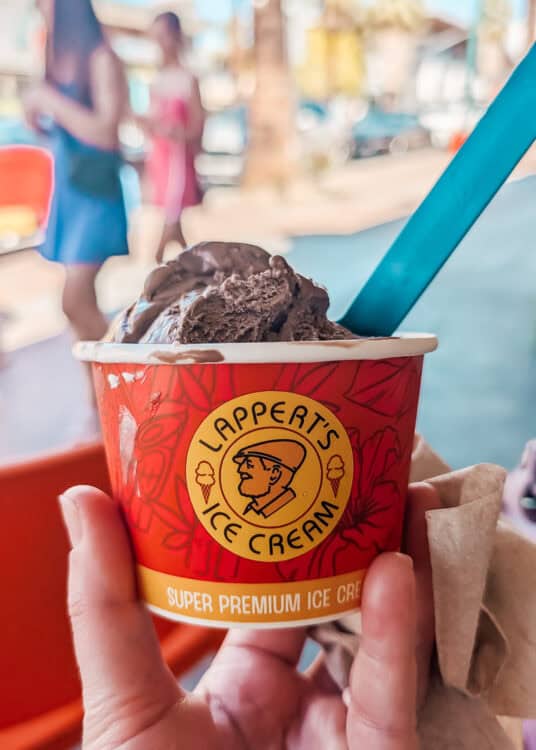 Hand holding a cup of chocolate ice cream from Lappertโs Ice Cream with a blue spoon sticking out of the scoop. The red cup reads โLappertโs Ice Creamโ and โSuper Premium Ice Creamโ with blurred palm trees and people in the background.