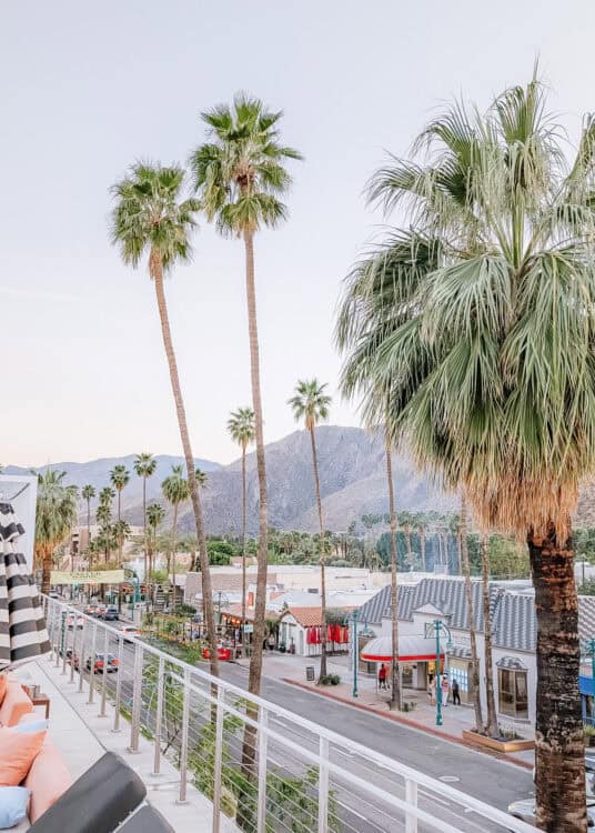 View from an elevated terrace overlooking downtown Palm Springs with tall palm trees lining the street and the San Jacinto Mountains rising in the background. Outdoor seating and a railing frame the foreground while shops, restaurants, and pedestrians create a lively desert city scene below.