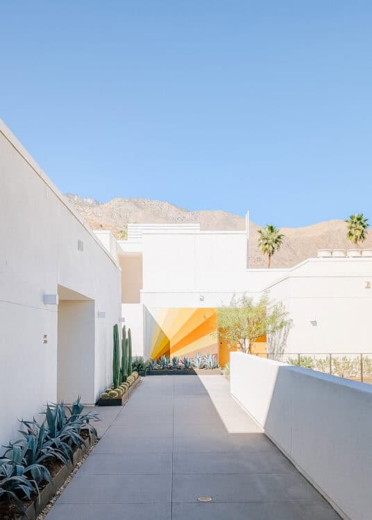 A wide concrete walkway bordered by agave plants, cacti, and white modern buildings leads toward a vibrant geometric mural in warm sunset colors, with rugged desert mountains rising in the background. The clean lines, minimalist landscaping, and mountain backdrop highlight the contemporary design and desert setting of the hotel.