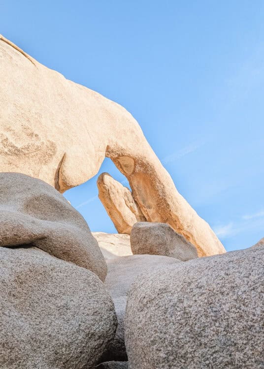 Arch Rock in Joshua Tree National Park forms a natural granite arch above smooth boulders against a bright blue desert sky. The unique rock formation is one of the park's most photographed landmarks and a popular stop for short hikes and sightseeing.