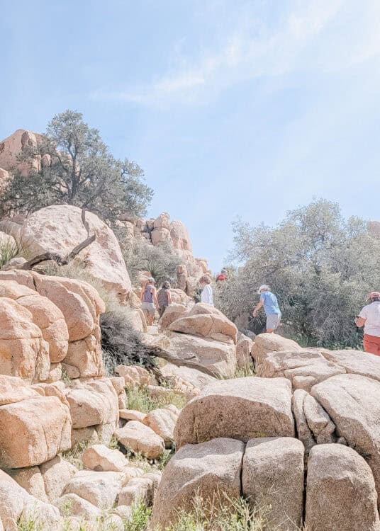 Hikers climb over large granite boulders along a rocky trail in Joshua Tree National Park surrounded by desert vegetation and weathered rock formations. The rugged terrain and scenic landscape highlight the adventurous hiking opportunities found throughout the park.