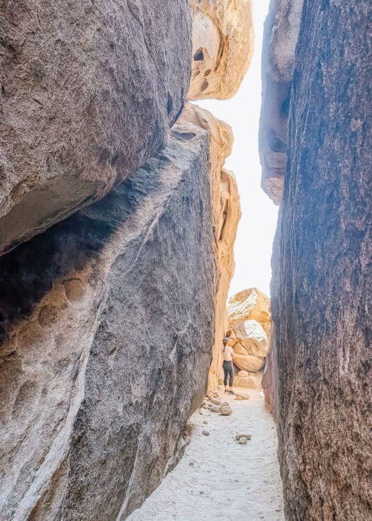 A narrow slot between towering granite boulders in Joshua Tree National Park creates a natural passage with a hiker standing near the sunlit opening at the end. The towering rock walls and sandy trail showcase one of the park's most unique hiking experiences.