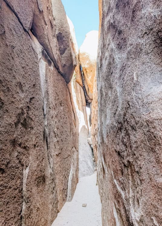 A narrow sandstone colored passage winds between towering granite rock walls in Joshua Tree National Park with sunlight filtering through the opening above. The tight rock corridor and sandy trail highlight one of the park's most memorable natural rock formations for hikers to explore.