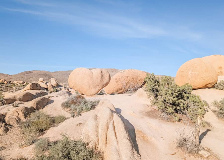 Rounded granite boulders rise above a sandy path in Joshua Tree National Park, surrounded by low desert shrubs beneath a clear blue sky. The smooth rock formations and open desert landscape showcase the park's distinctive scenery and inviting hiking terrain.