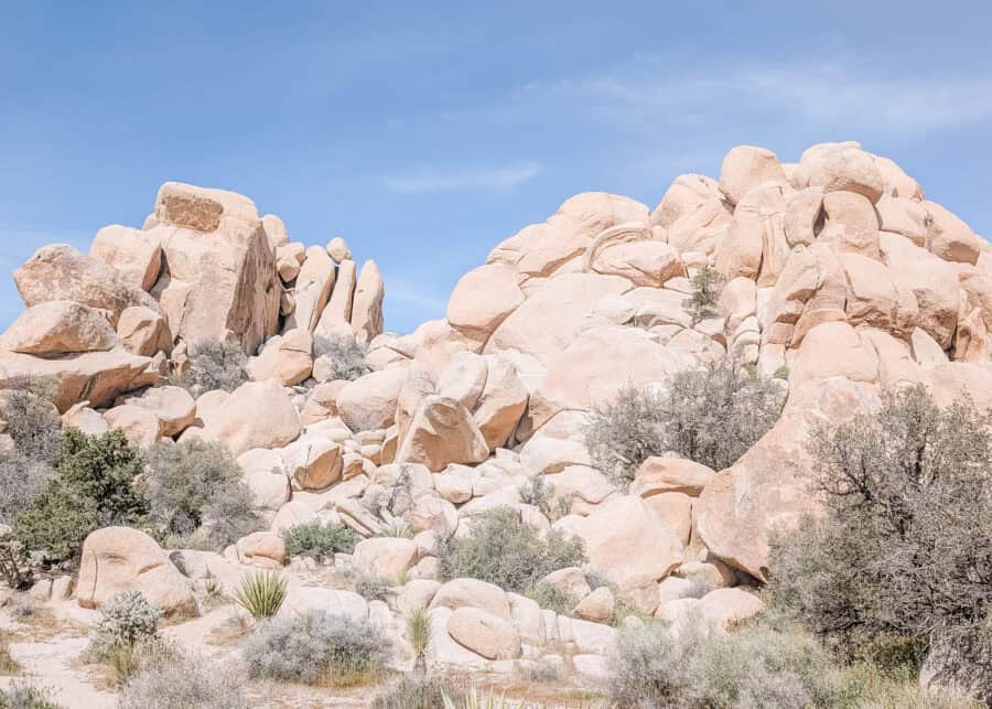 Towering stacks of rounded granite boulders rise above desert shrubs and yucca plants in Joshua Tree National Park under a bright blue sky. The massive rock formations create one of the park's most recognizable landscapes, showcasing the rugged beauty of the California desert.