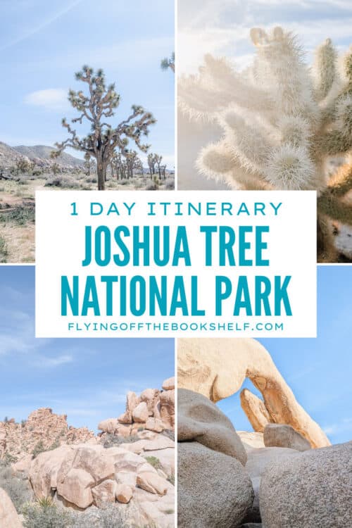 Collage featuring Joshua trees, rocky desert landscapes, a close up of a cholla cactus, and Arch Rock in Joshua Tree National Park. Text reads "1 Day Itinerary Joshua Tree National Park" and "FlyingOffTheBookshelf.com".