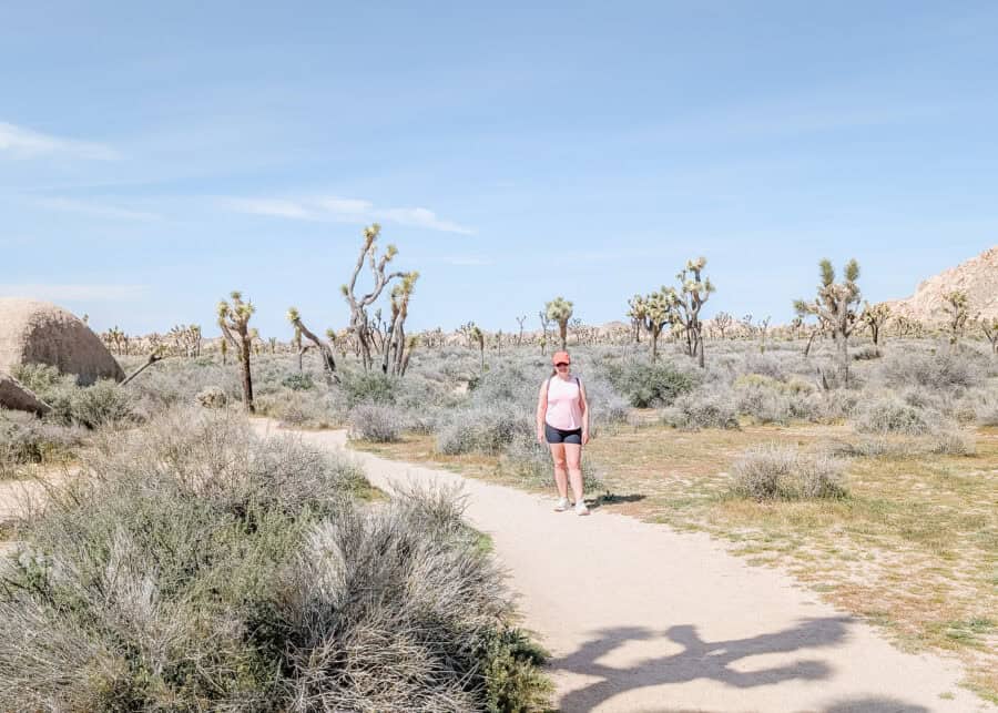 A woman in a pink tank top, black shorts, and an orange cap walks along a sandy trail surrounded by Joshua trees and desert shrubs in Joshua Tree National Park. The wide open landscape and clear blue sky capture the peaceful scenery and easy hiking trails found throughout the park.