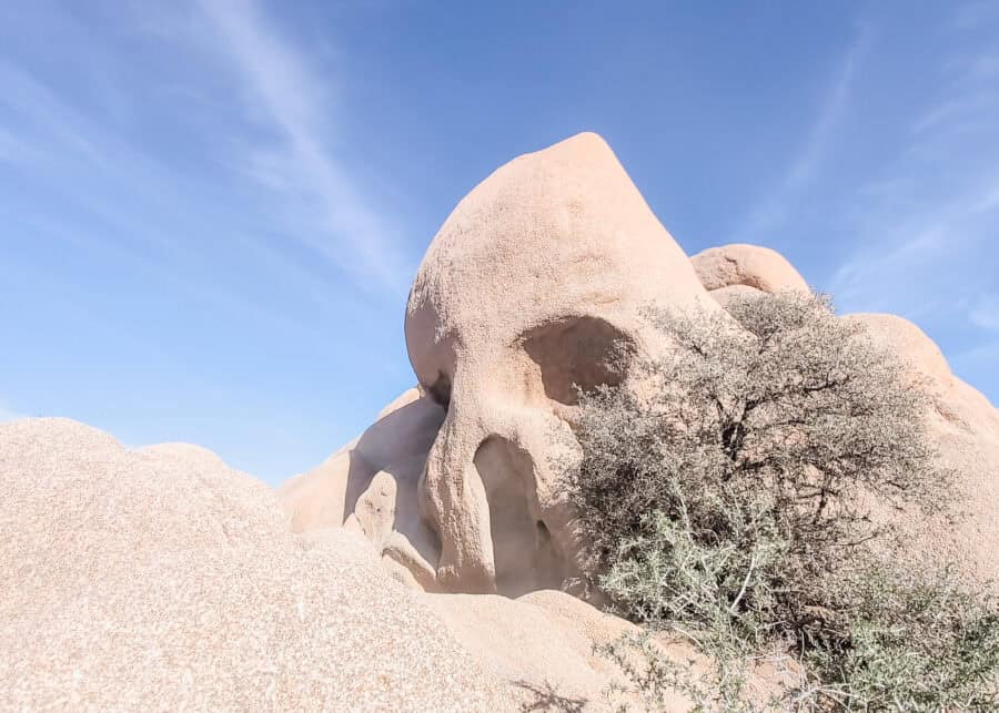 Skull Rock in Joshua Tree National Park rises above the desert with naturally eroded openings that resemble the eye sockets of a skull beneath a bright blue sky. This famous rock formation is one of the park's most recognizable landmarks and an easy stop along the scenic drive.