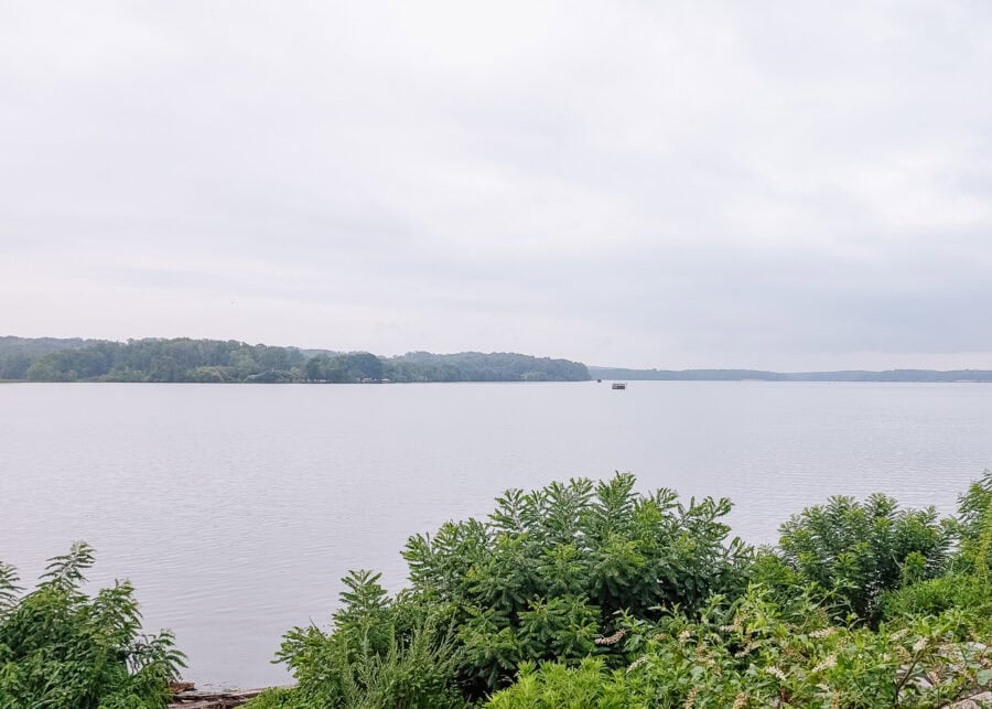 A wide river stretches beneath an overcast sky, with calm water reflecting the muted light and a tree lined shoreline in the distance. Lush green shrubs frame the foreground, creating a peaceful scenic overlook of the river landscape.