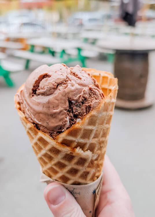 A scoop of chocolate ice cream fills a crisp golden waffle cone held in one hand. The close view highlights the creamy chocolate ice cream and crunchy waffle texture.