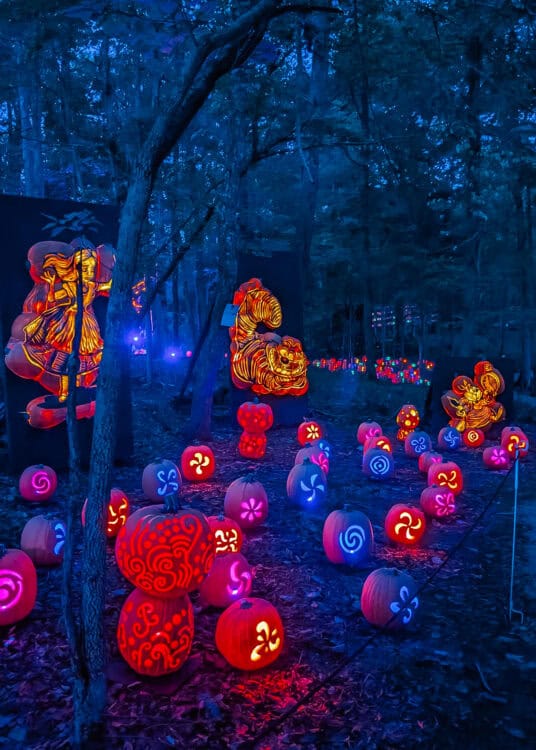 Dozens of glowing pumpkins illuminate a dark wooded trail with colorful carved swirl and flower patterns in red, pink, blue, and yellow. Large illuminated pumpkin carvings depicting detailed figures rise among the smaller pumpkins and create a dramatic nighttime display in the forest.