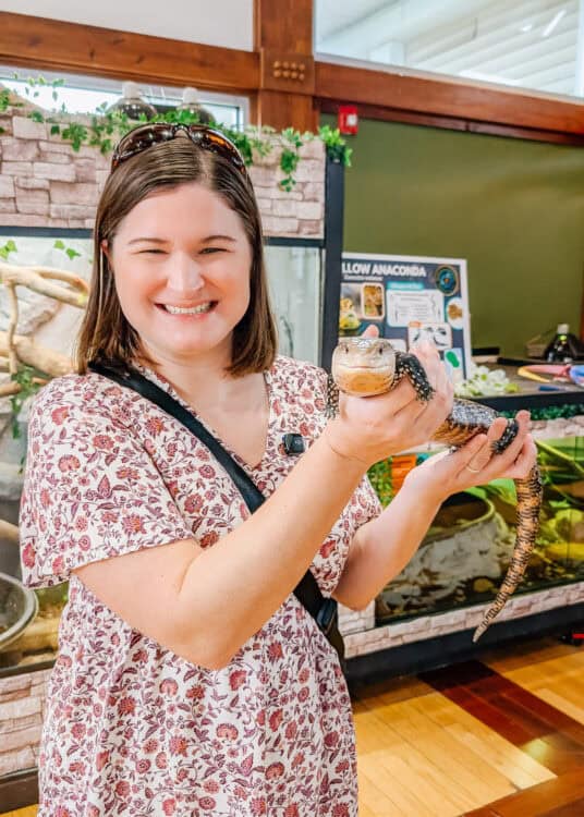 Smiling woman holds a large black and orange lizard during an animal encounter at a wildlife center. A yellow anaconda educational display and animal enclosures are visible behind her.