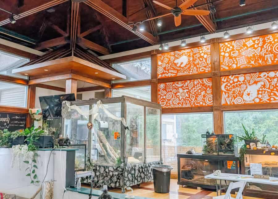 Interior of a wildlife discovery center with large glass animal enclosures surrounded by plants and educational displays. Bright orange wall panels feature white wildlife illustrations and the words "Wildlife and Discovery Center."